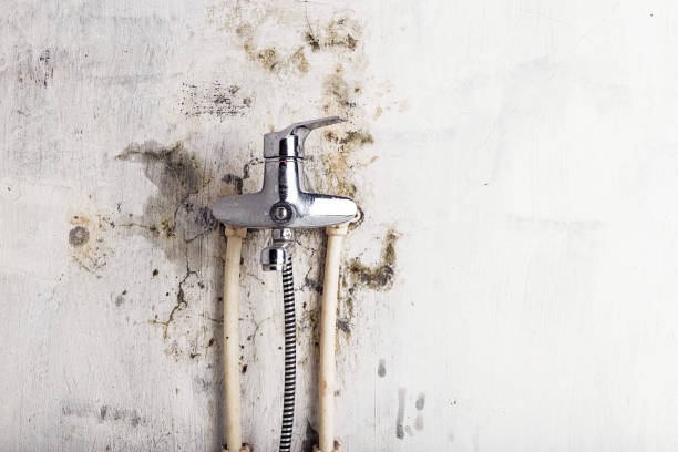 Professional Mold Remediation in Bremen, OH
